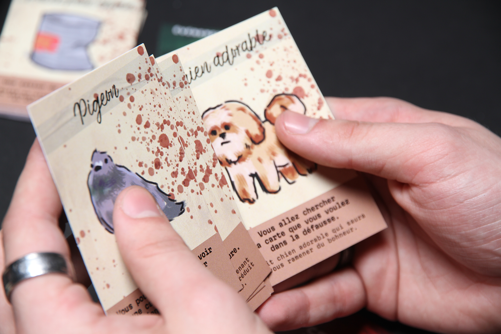 photographie d'une personne qui tient des cartes illustrées en éventail, on peut y voir un pigeon et un petit chien