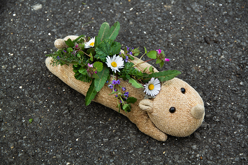photo d'une trousse rhinocéros remplie de fleurs